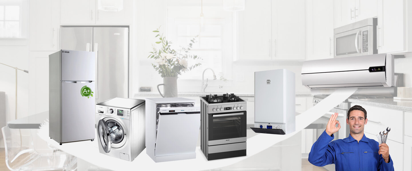 Karacasu Windsor Servisi